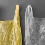 Why Plastic Bags Should Be Banned?