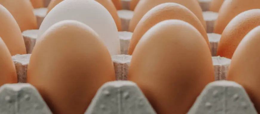Recyclable Egg Cartons