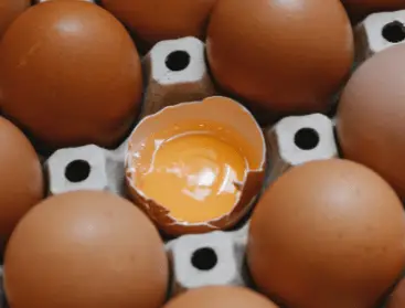 Carton Eggs