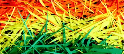 Can You Compost Shredded Paper?