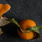 Can You Compost Orange Peels?