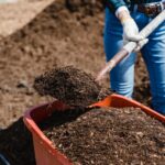 Common Types of Composting Explained
