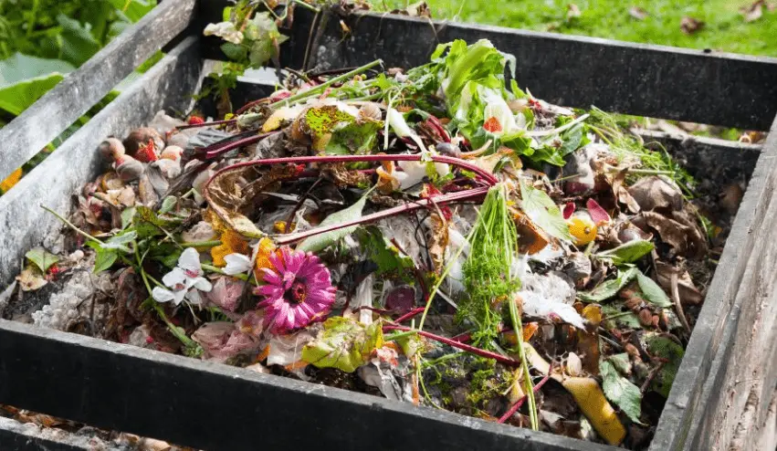 Can You Compost Flowers?