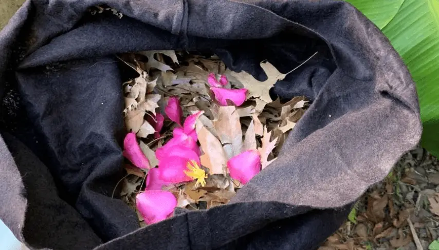 Can You Compost Flowers?