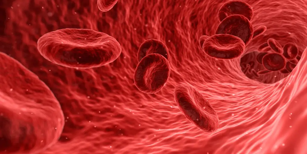 Natural Remedies For Blood Clots