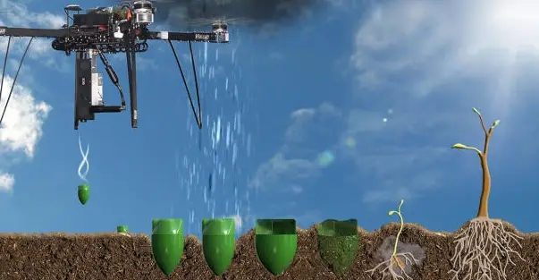 How to Plant Tree Seeds Using Drones