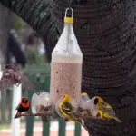 How to Make a Bird Feeder With Waste Material