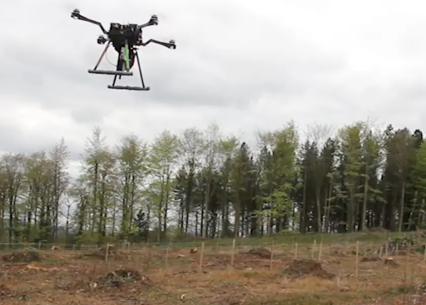 How to Plant Tree Seeds Using Drones