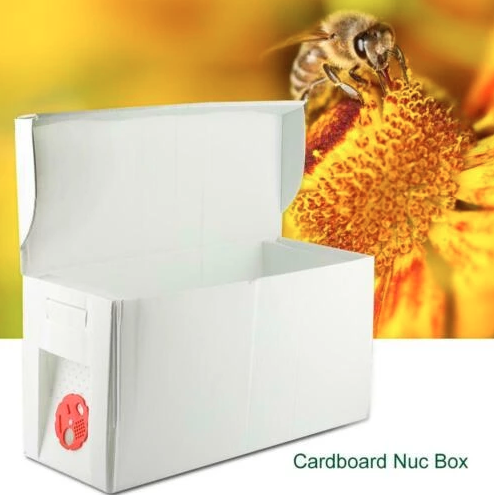 How to Make a Beehive Out of Cardboard - SERC Online